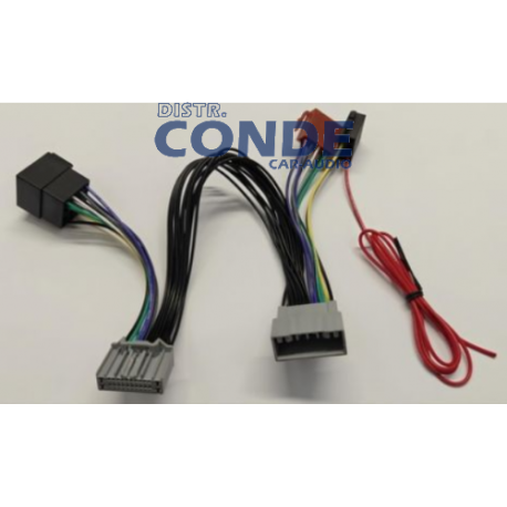 conex-ml-suzuki-2024