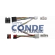 conex-ml-kia-shefia
